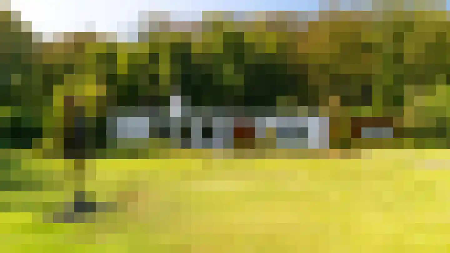 Finantiën 2 Loon op Zand foto 2