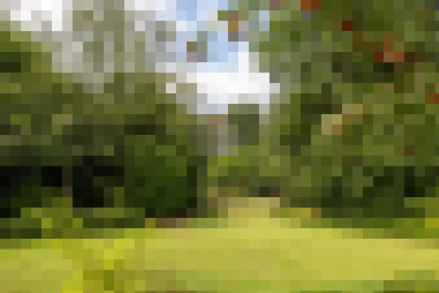 Finantiën 2 Loon op Zand thumbnail 38