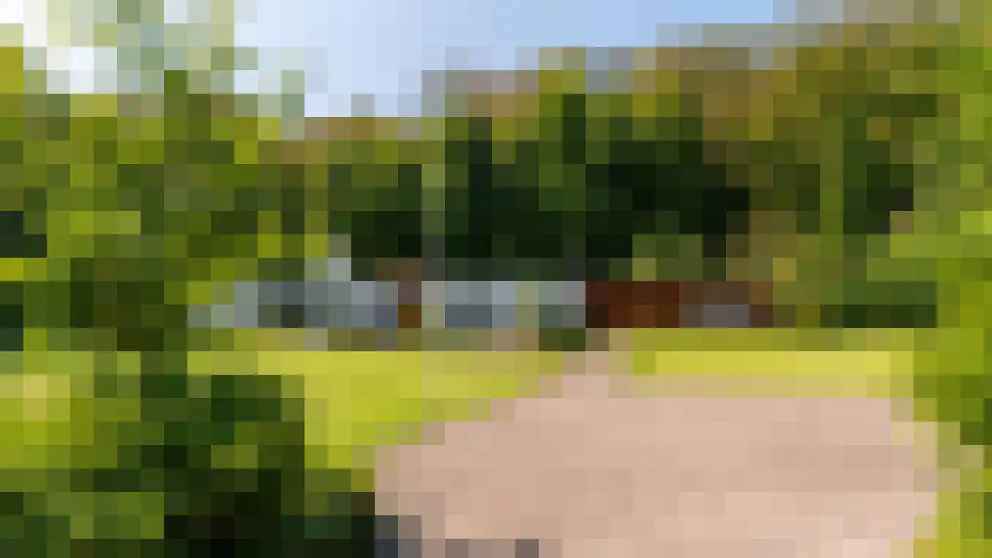 Finantiën 2 Loon op Zand thumbnail 5