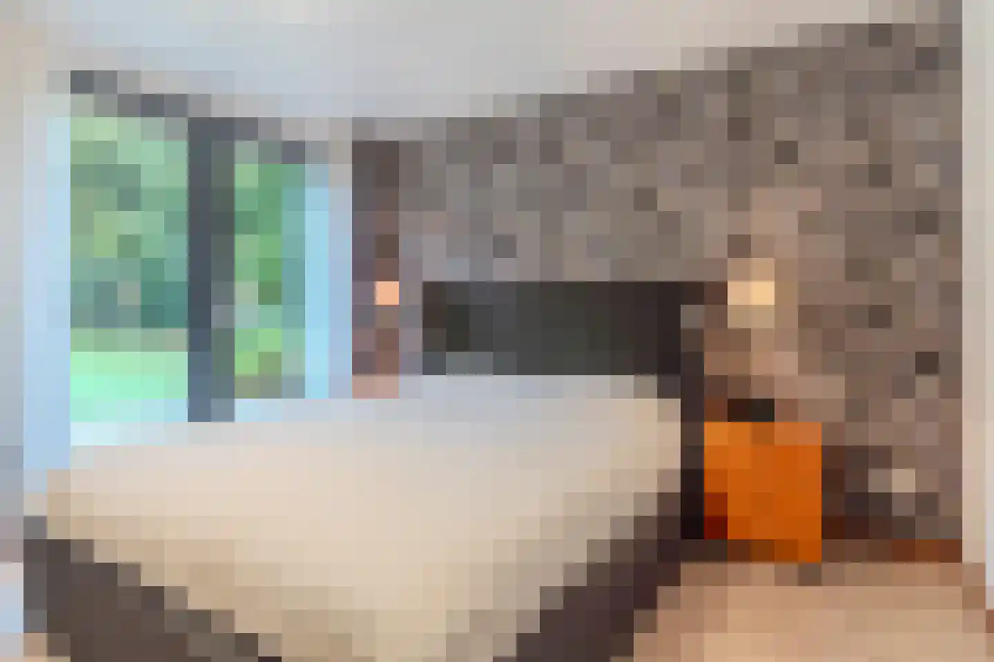 Finantiën 2 Loon op Zand thumbnail 61