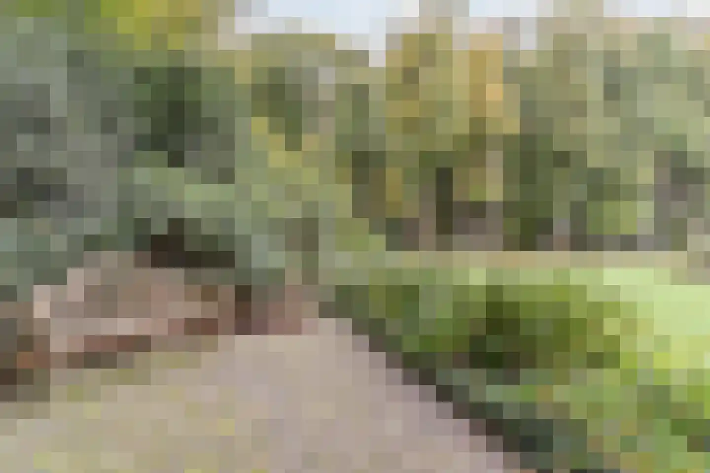Finantiën 2 Loon op Zand thumbnail 66