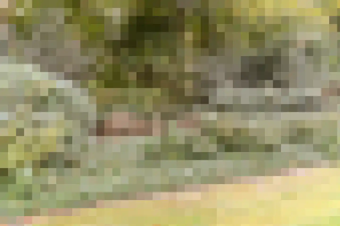 Finantiën 2 Loon op Zand thumbnail 69