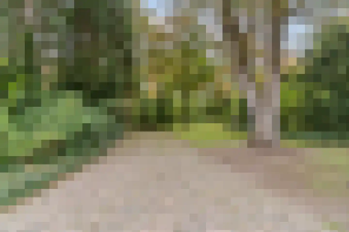 Finantiën 2 Loon op Zand thumbnail 74