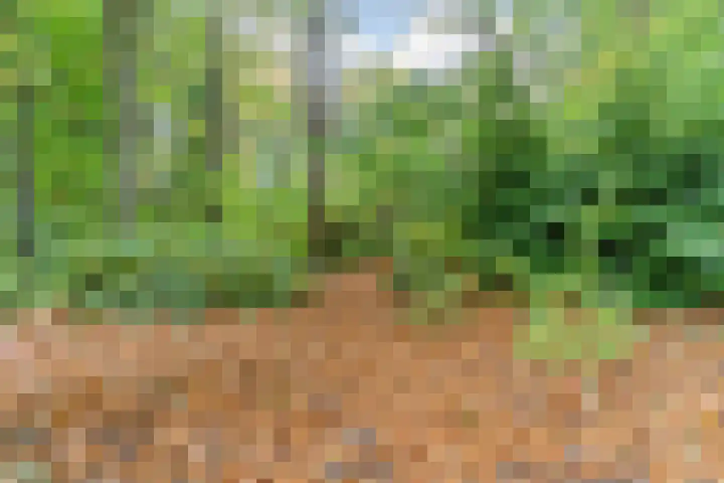 Finantiën 2 Loon op Zand thumbnail 81