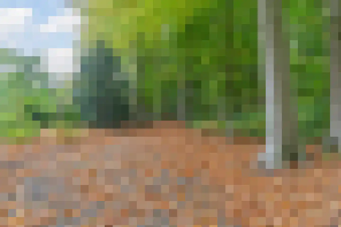 Finantiën 2 Loon op Zand thumbnail 82