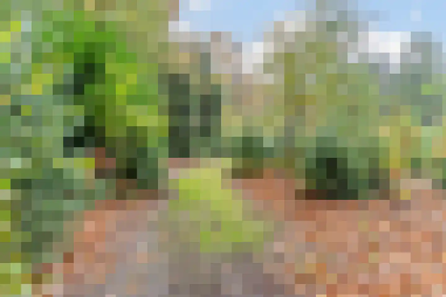Finantiën 2 Loon op Zand thumbnail 83