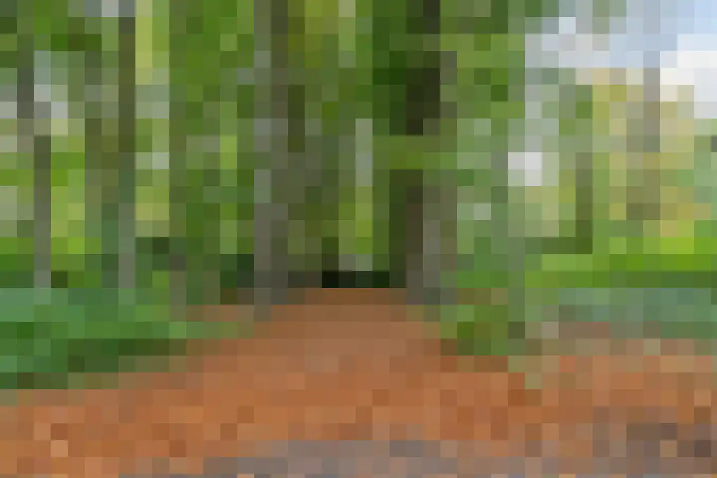 Finantiën 2 Loon op Zand thumbnail 85