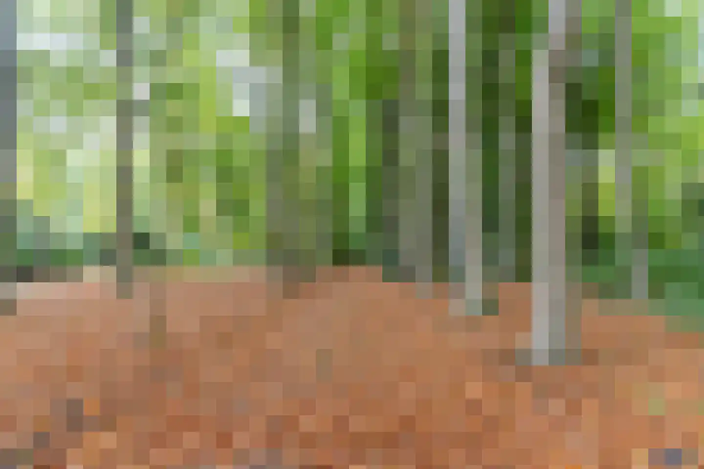 Finantiën 2 Loon op Zand thumbnail 86