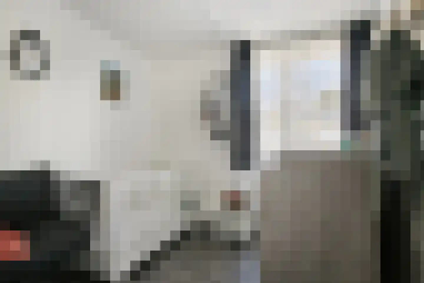 Findelstraat 21 Tilburg thumbnail 24