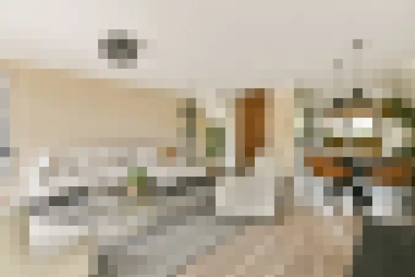 Fineerzaag 1 Zaandam thumbnail 10
