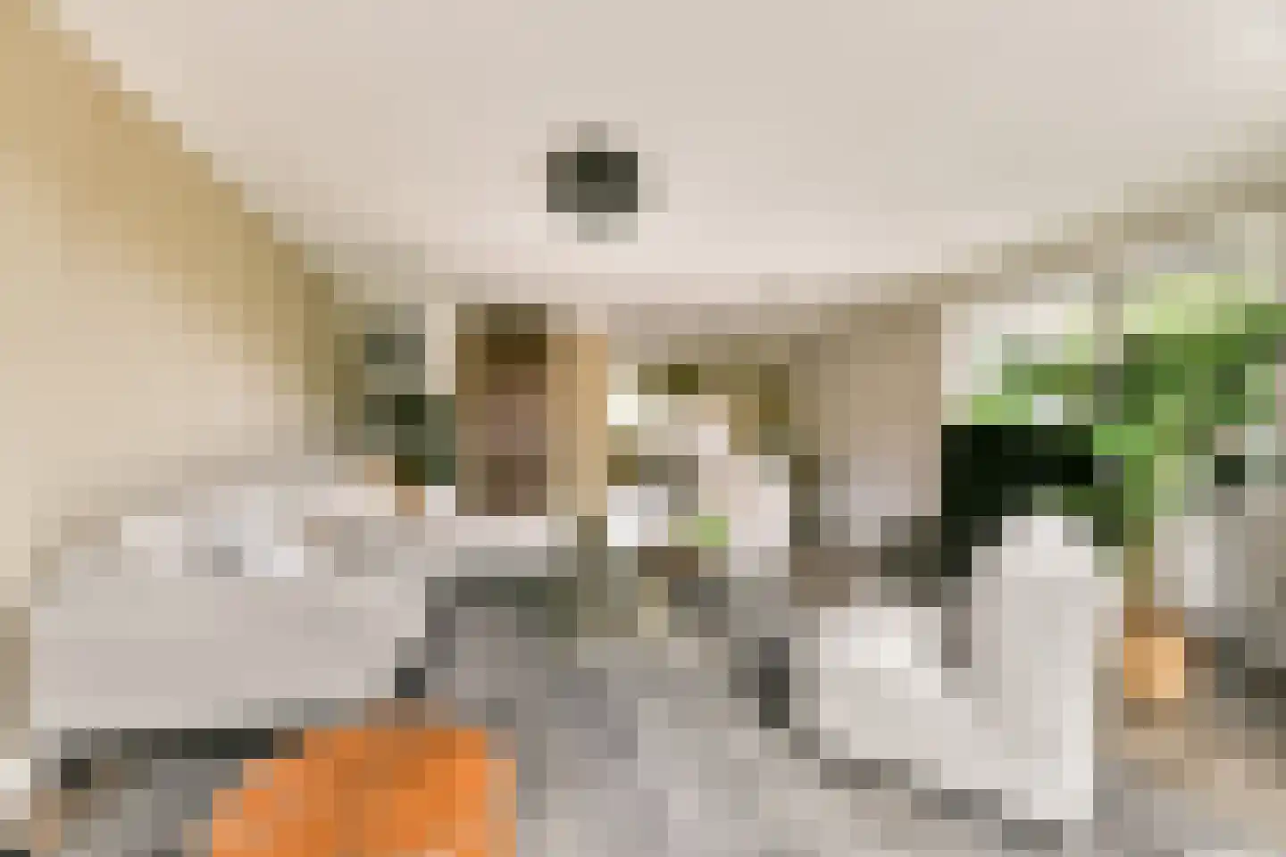Fineerzaag 1 Zaandam thumbnail 12