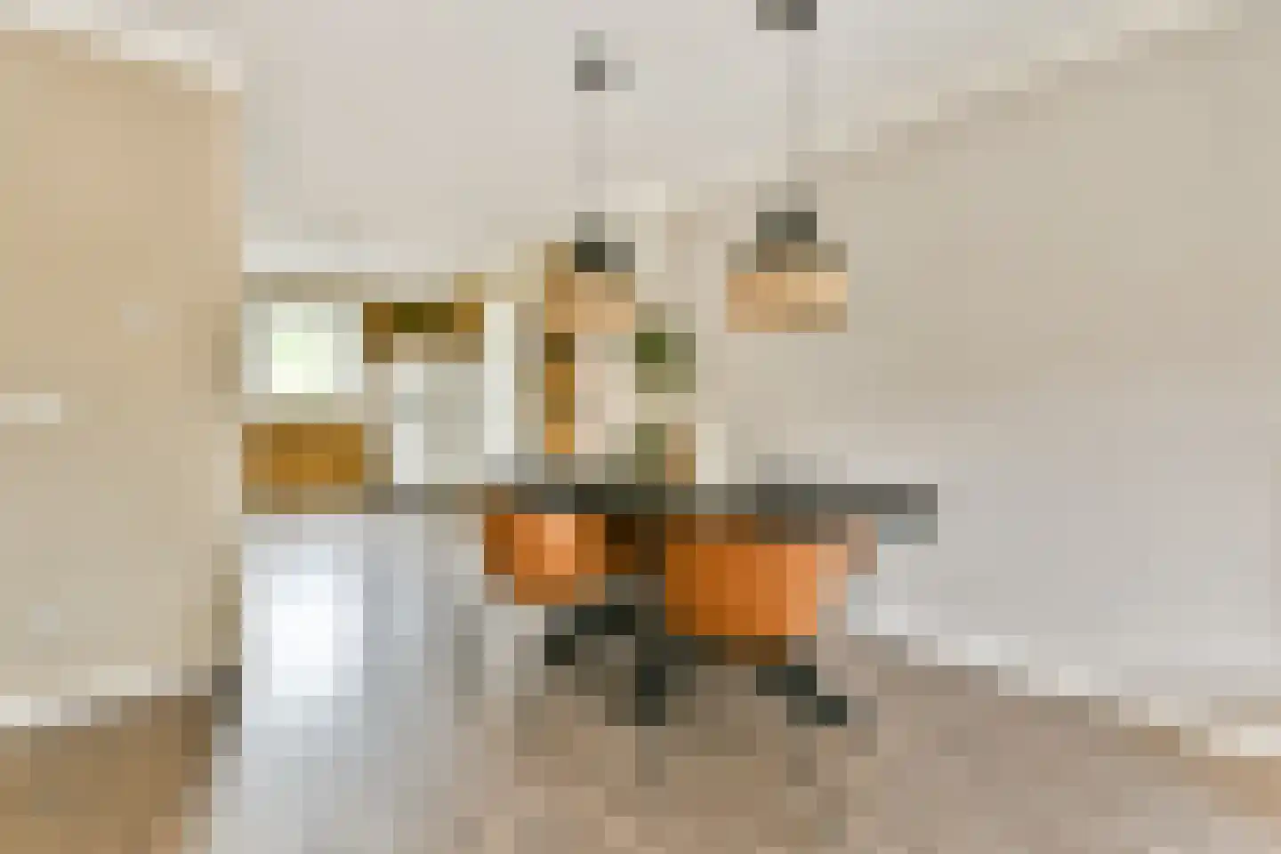 Fineerzaag 1 Zaandam thumbnail 13