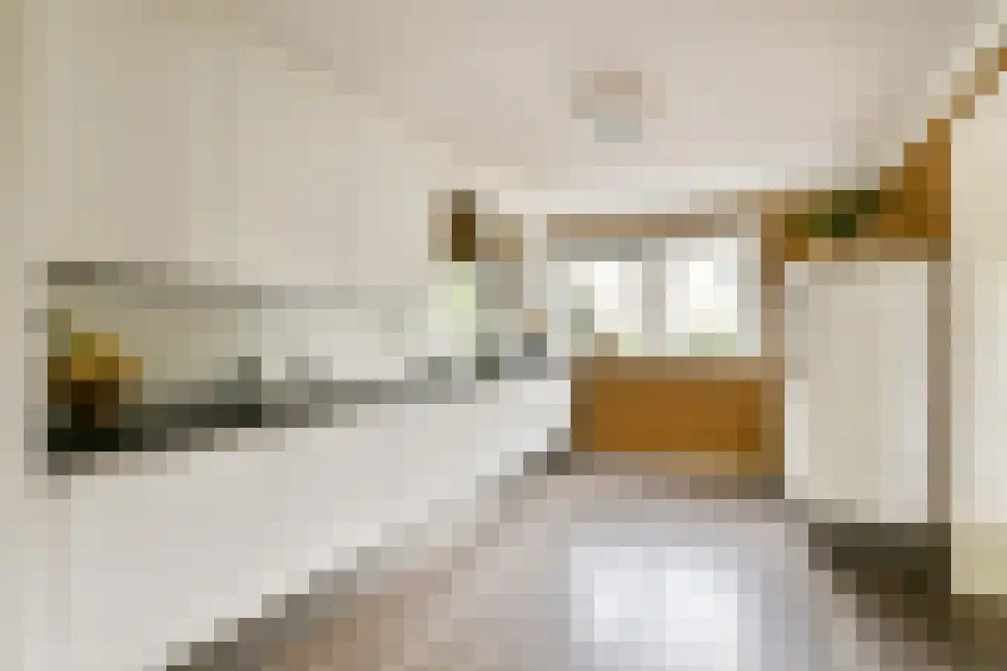 Fineerzaag 1 Zaandam thumbnail 14