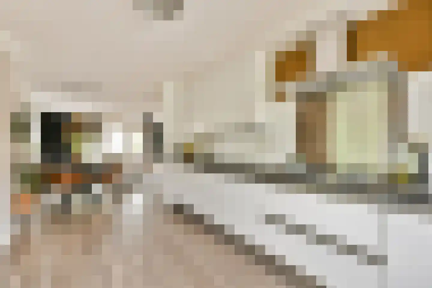 Fineerzaag 1 Zaandam thumbnail 15