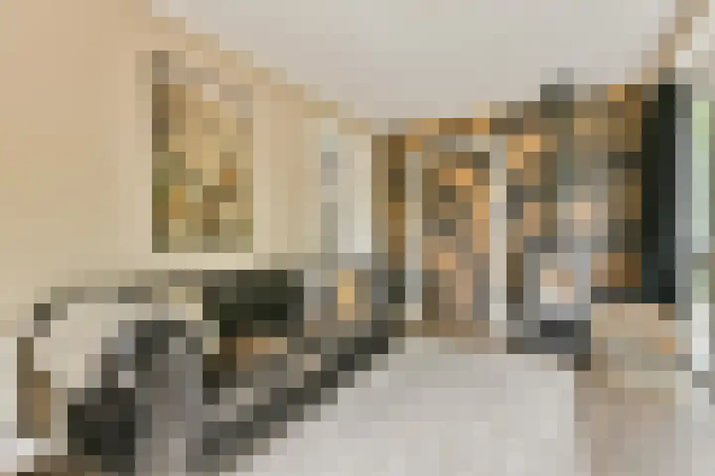 Fineerzaag 1 Zaandam thumbnail 16