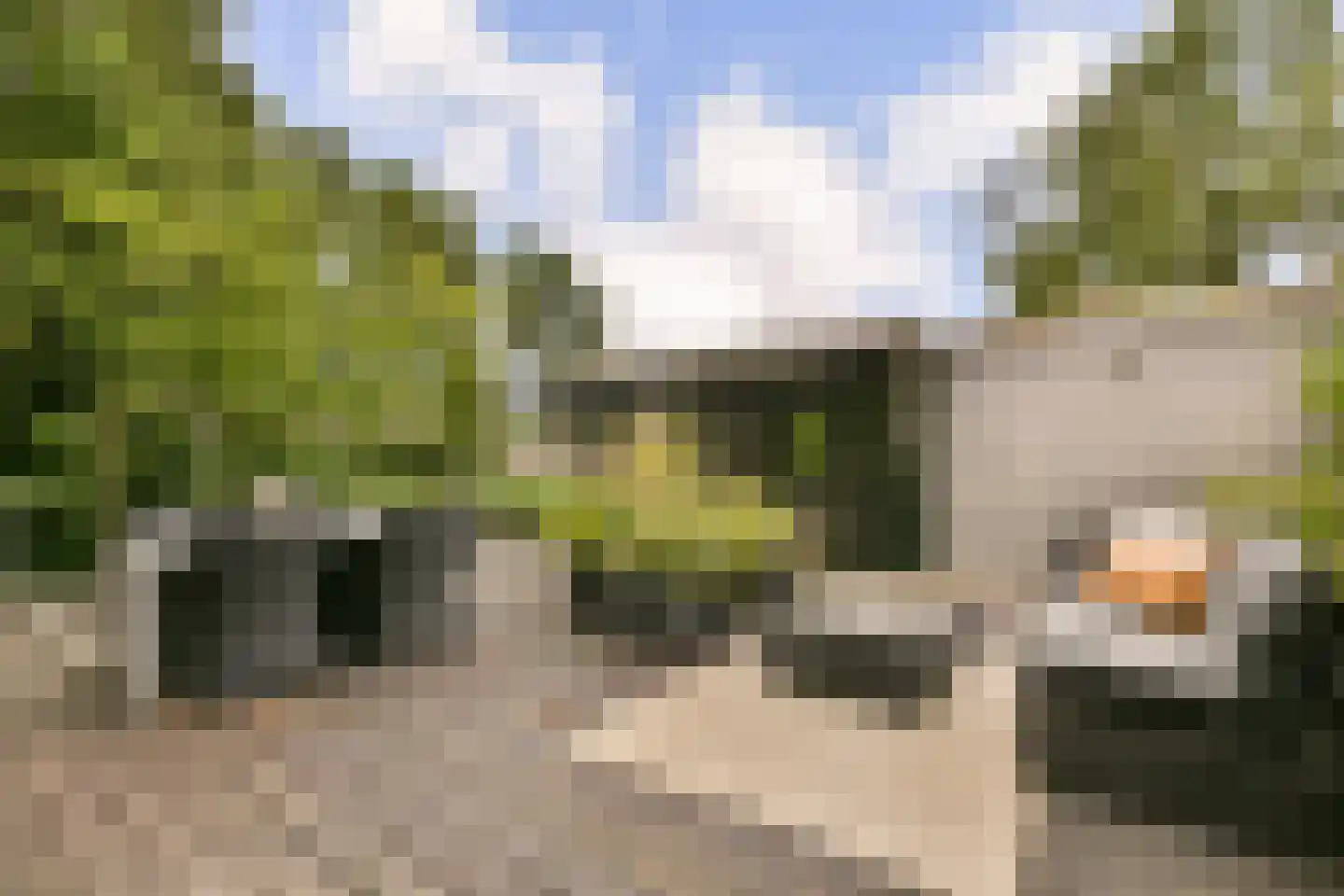 Fineerzaag 1 Zaandam thumbnail 18