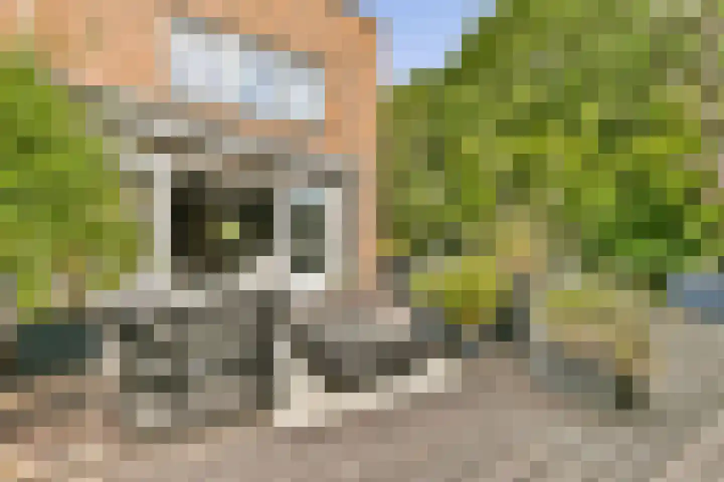 Fineerzaag 1 Zaandam thumbnail 19