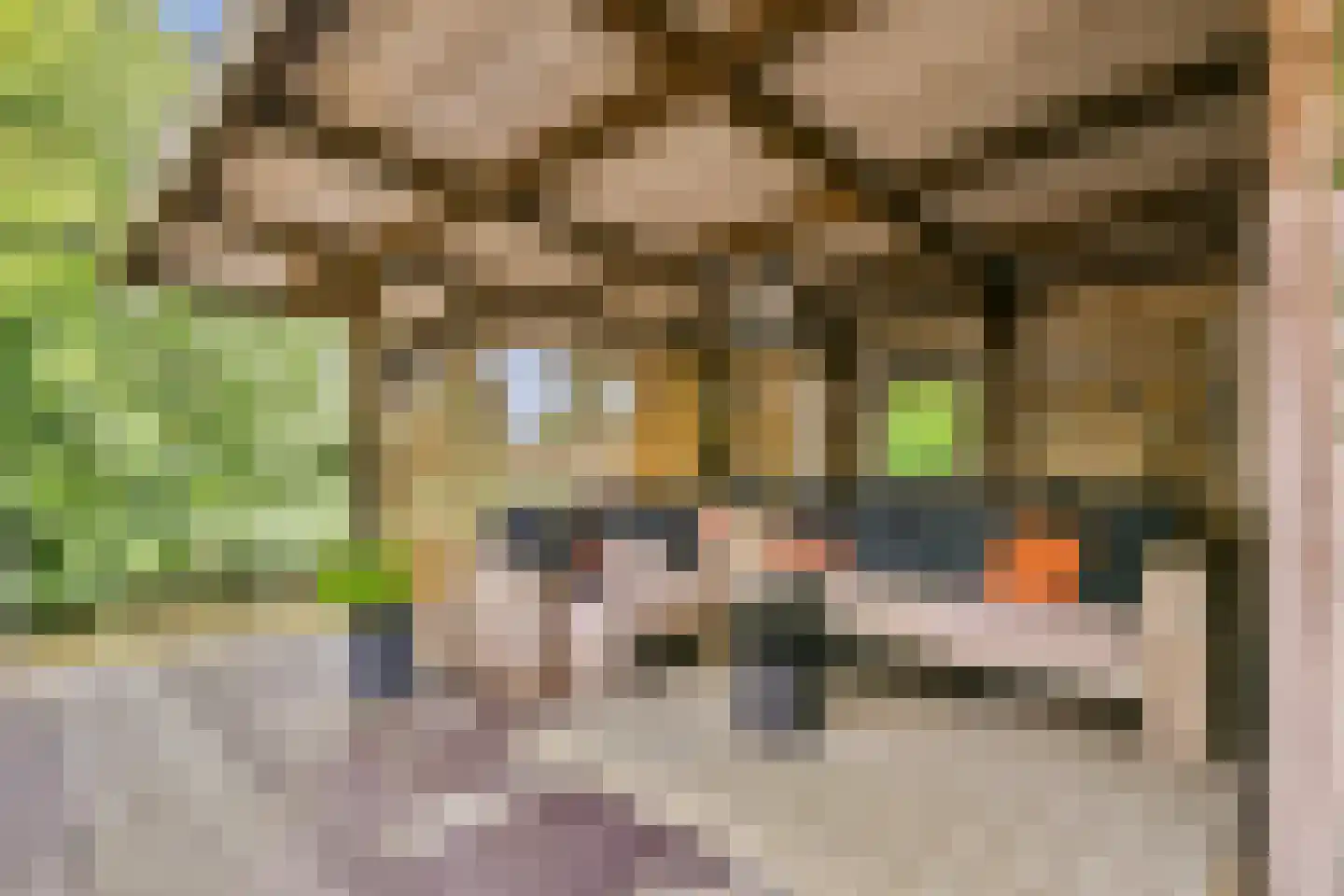 Fineerzaag 1 Zaandam thumbnail 22