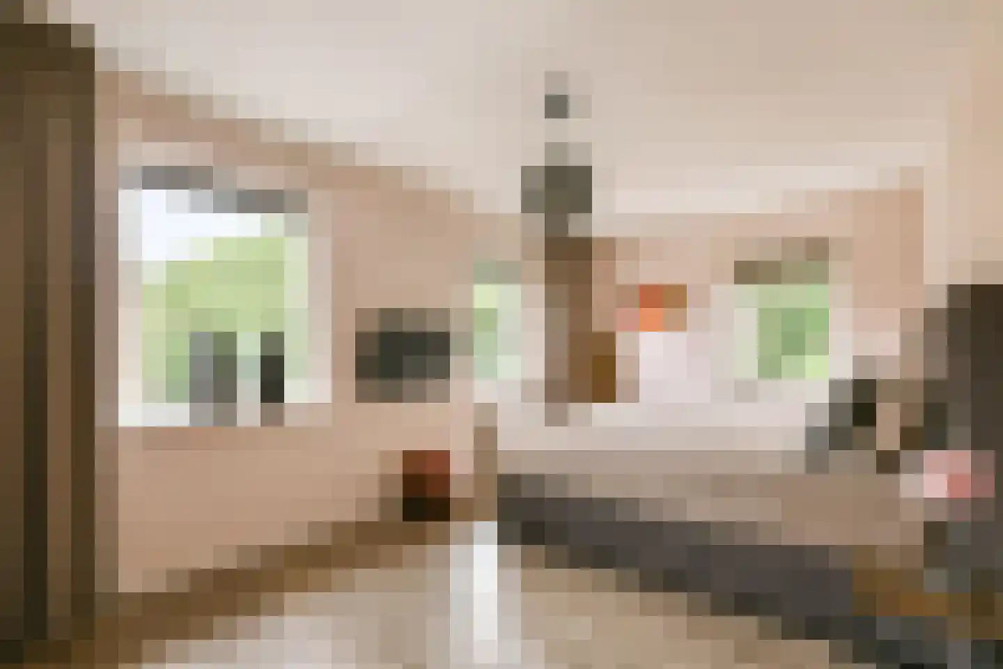 Fineerzaag 1 Zaandam thumbnail 24