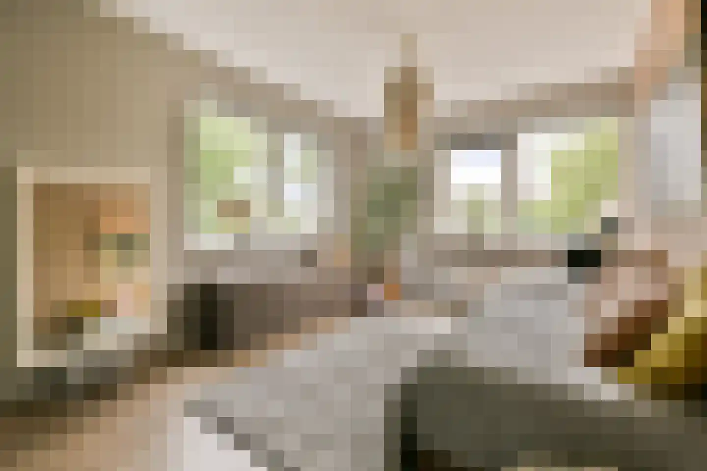 Fineerzaag 1 Zaandam thumbnail 27