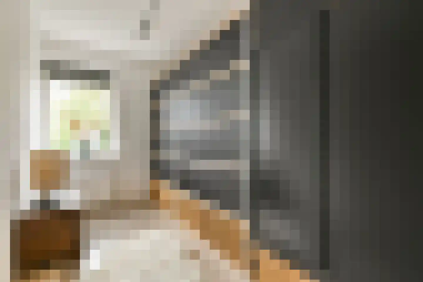 Fineerzaag 1 Zaandam thumbnail 29