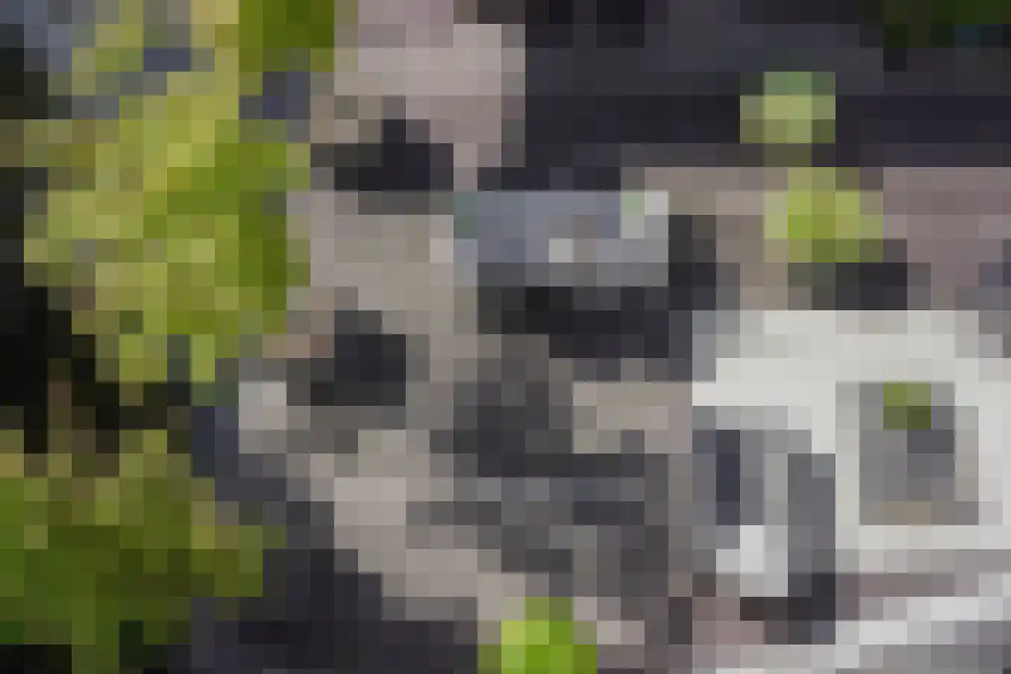 Fineerzaag 1 Zaandam thumbnail 35