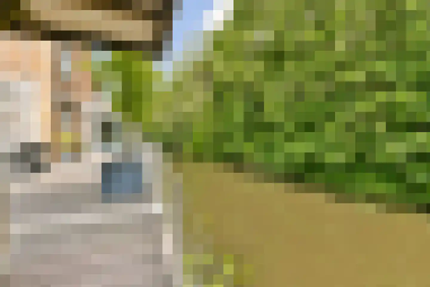 Fineerzaag 1 Zaandam thumbnail 5