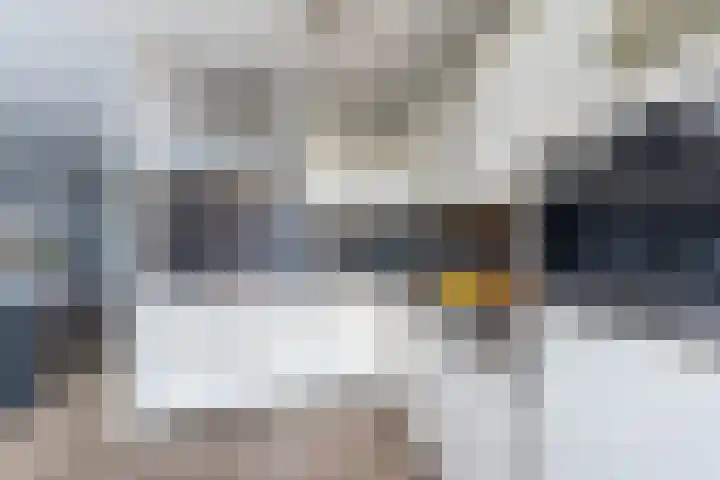 Finefrau 130 Kerkrade thumbnail 11