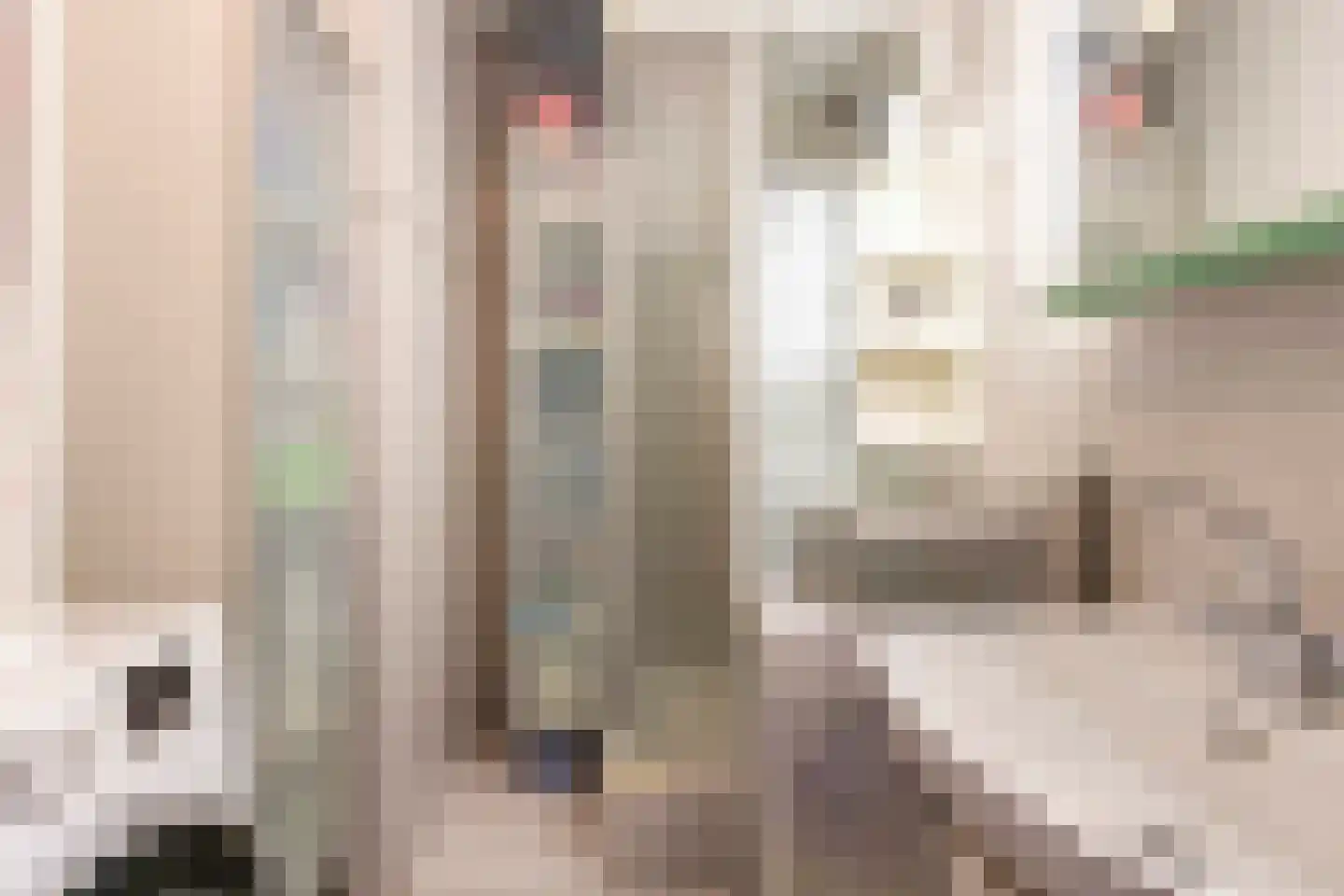 Finefrau 14 Kerkrade thumbnail 12