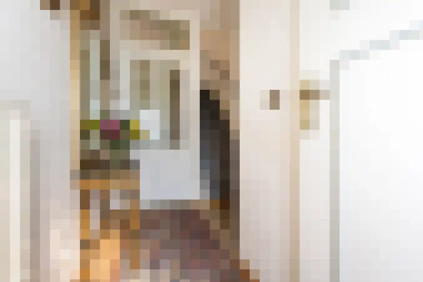 Finefrau 38 Kerkrade thumbnail 6