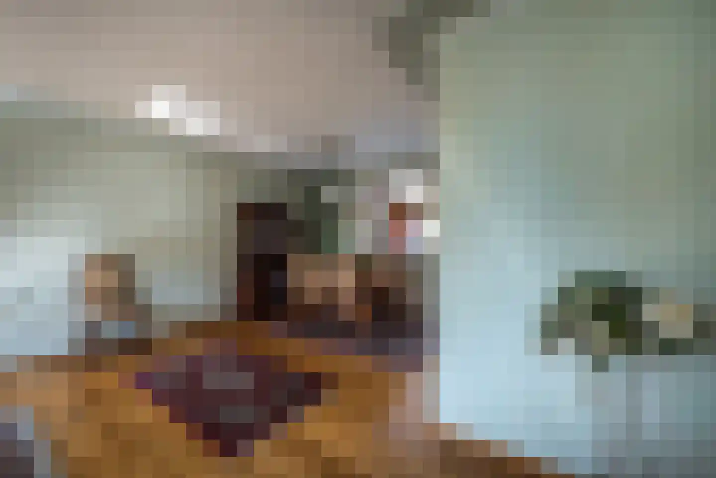 Finefrau 38 Kerkrade thumbnail 8