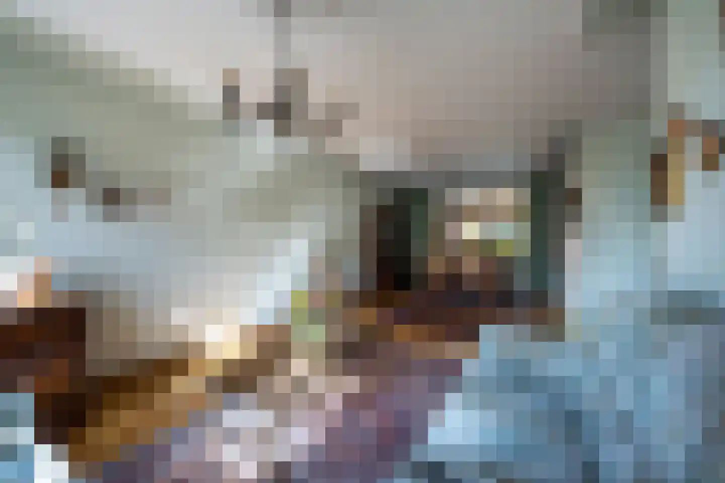 Finefrau 38 Kerkrade thumbnail 9