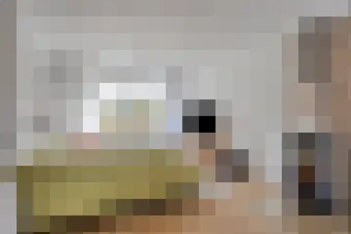 Finefrau 91 Kerkrade thumbnail 10