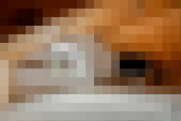 Finefrau 91 Kerkrade thumbnail 31