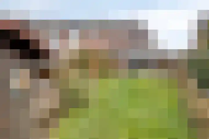 Finefrau 91 Kerkrade thumbnail 36