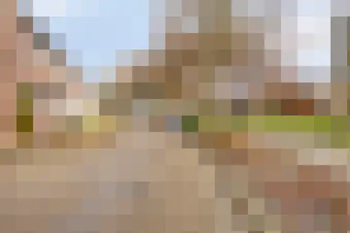 Finefrau 91 Kerkrade thumbnail 5