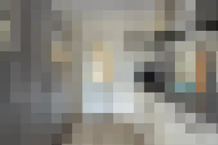Finistèrelaan 63 Eindhoven thumbnail 10