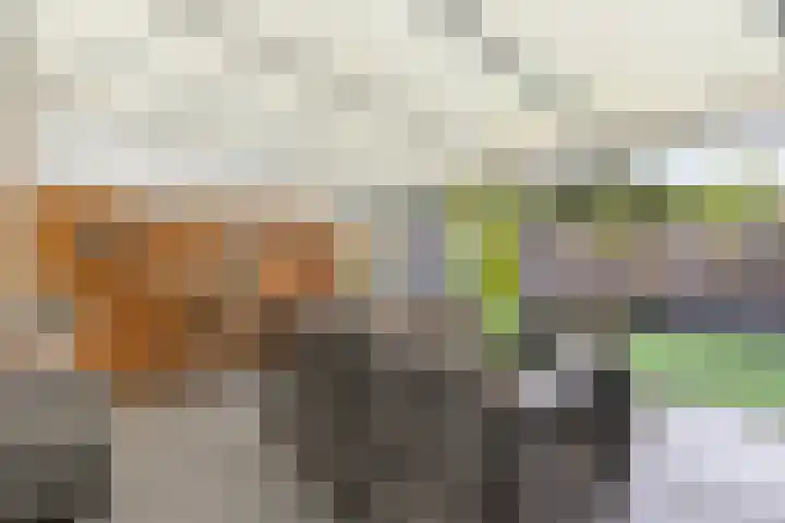 Finistèrelaan 63 Eindhoven thumbnail 20