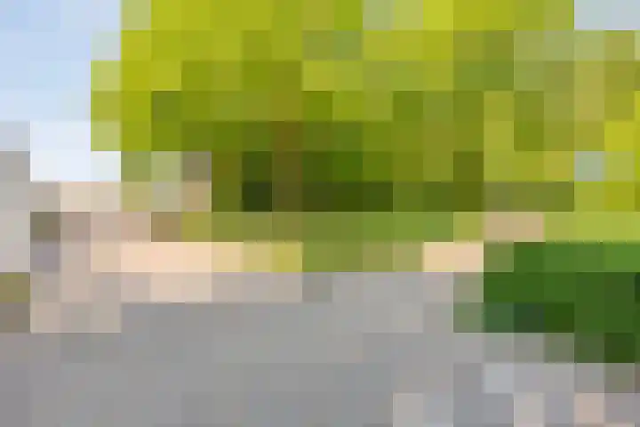 Finistèrelaan 63 Eindhoven thumbnail 27