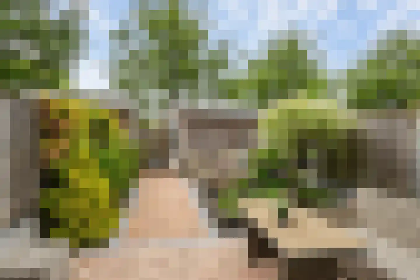 Finkenflügelstraat 31 Wateringen thumbnail 11