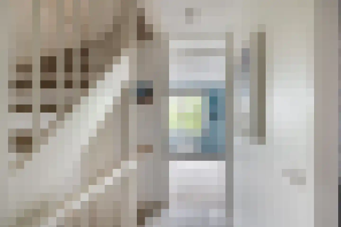 Finkenflügelstraat 31 Wateringen thumbnail 15