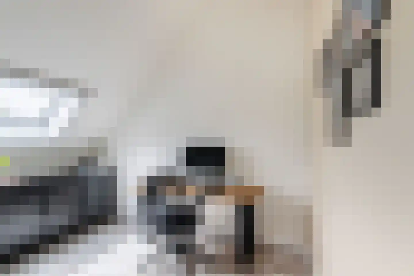 Finkenflügelstraat 31 Wateringen thumbnail 25