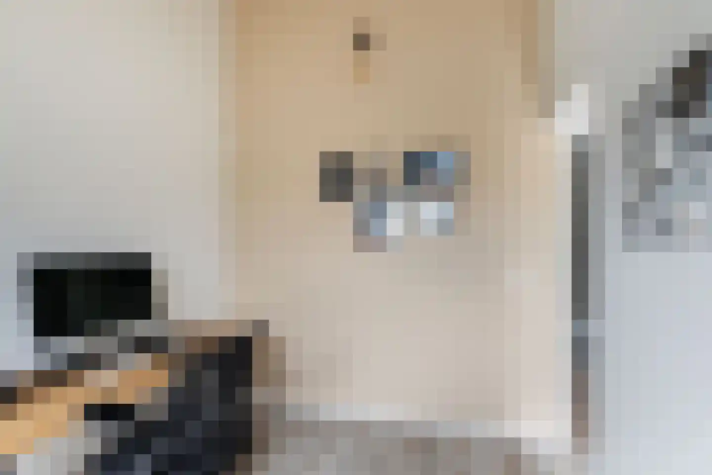 Finkenflügelstraat 31 Wateringen thumbnail 27