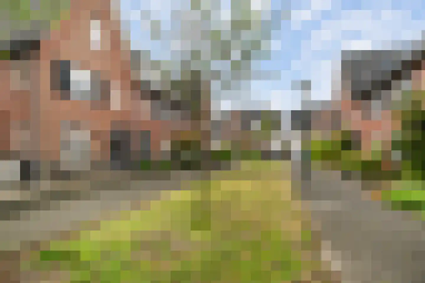 Finkenflügelstraat 31 Wateringen thumbnail 39