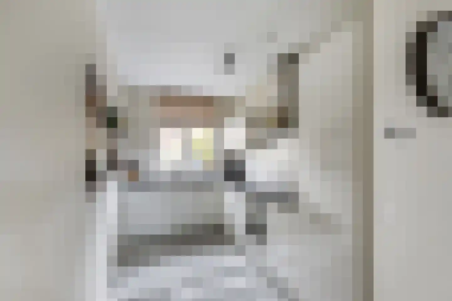 Finkenflügelstraat 31 Wateringen thumbnail 6
