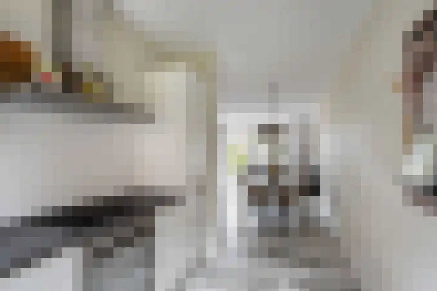 Finkenflügelstraat 31 Wateringen thumbnail 7