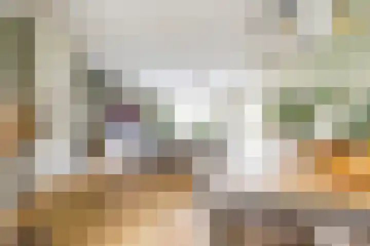 Finlandstraat 13 De Lier thumbnail 10
