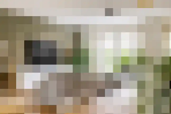 Finlandstraat 13 De Lier thumbnail 13