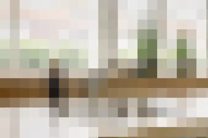 Finlandstraat 13 De Lier thumbnail 16