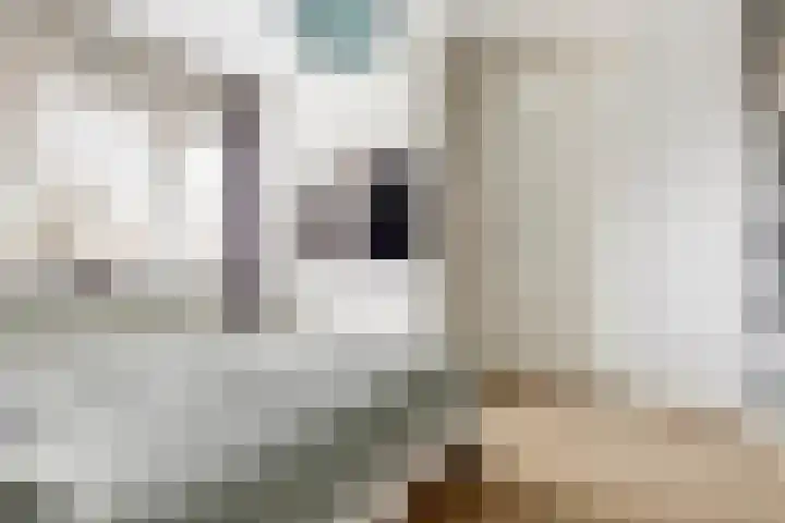 Finlandstraat 13 De Lier thumbnail 21